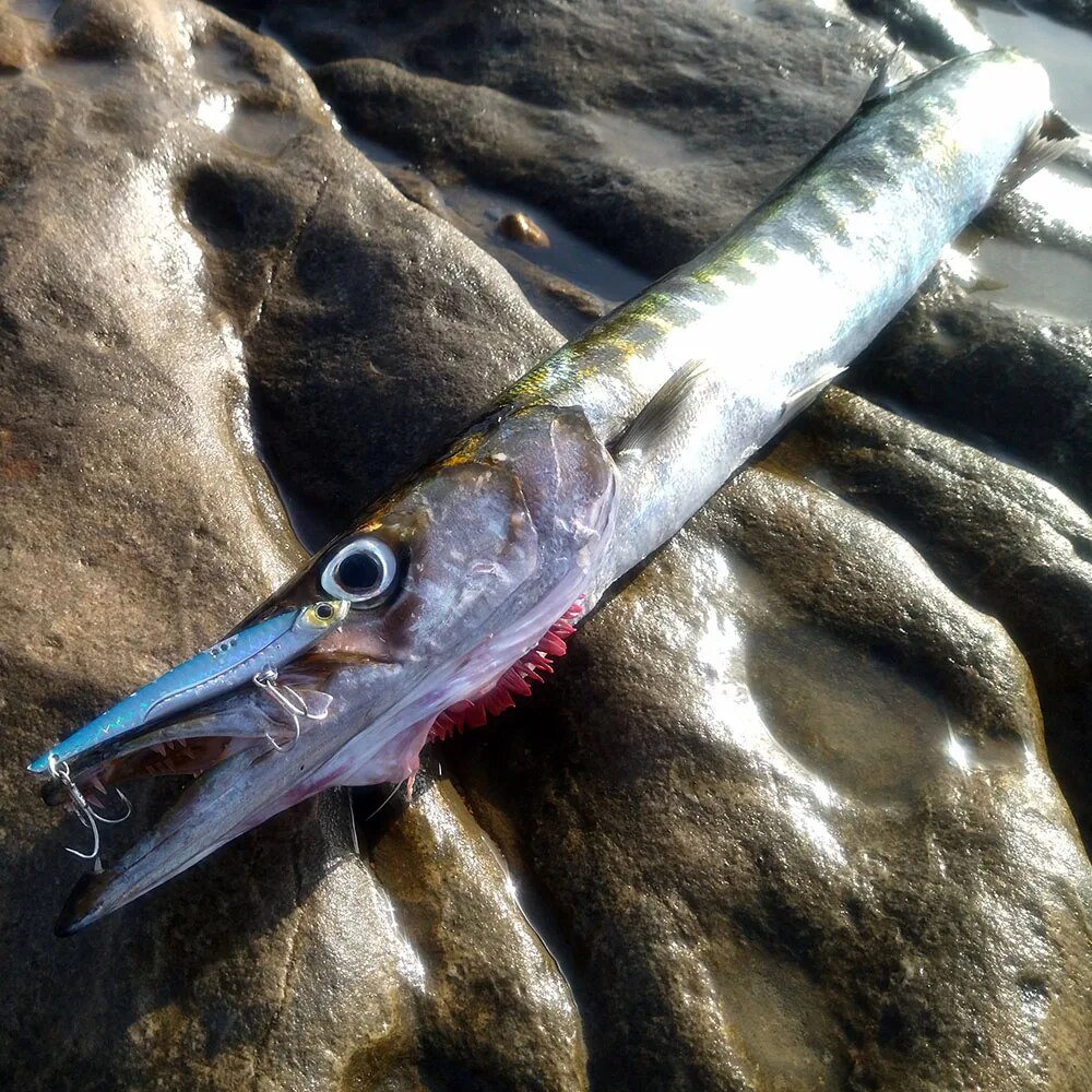 GOBAIT VIB Angelköder, 20 g, 2 – Fishing Lure Blade Bait Bewertung und Preis