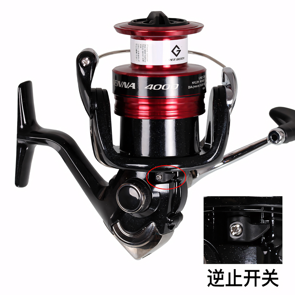 SHIMANO SIENNA Spinnrolle Max  – Shimano Reel Sienna Bewertung und Preis